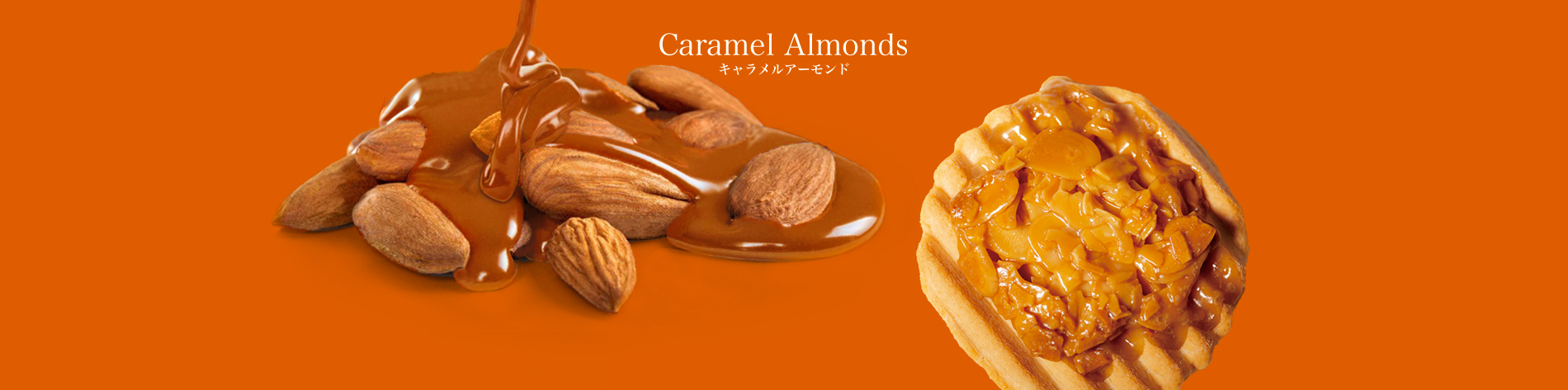 Caramel Almonds キャラメルアーモンド